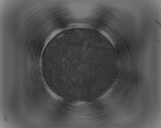 X0000091671482200709201210