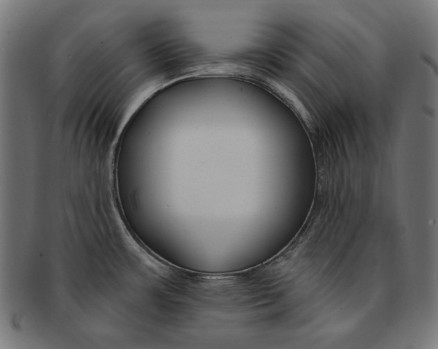 X0000091671483200709201210