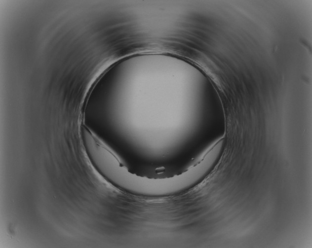 X0000091671484200709201210