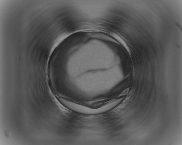 X0000091671485200709201210