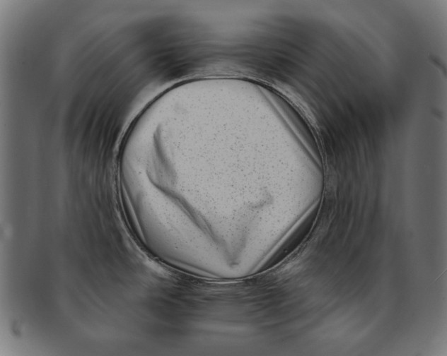 X0000091671486200709201210