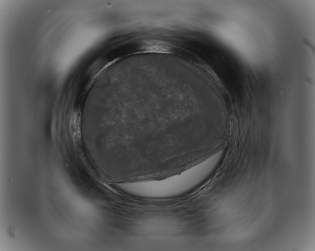 X0000091671487200709201210