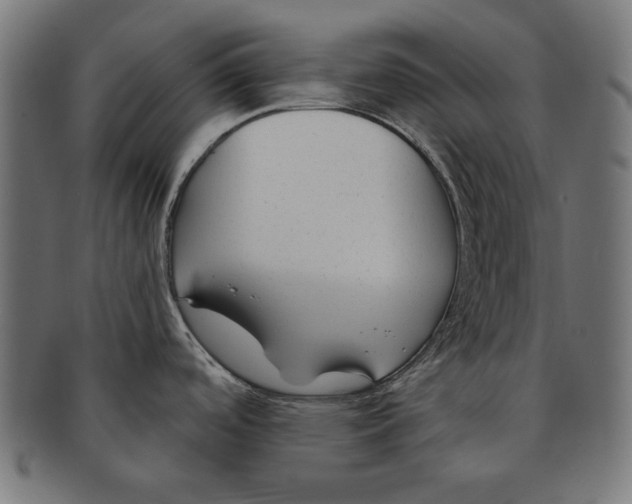 X0000091671488200709201210