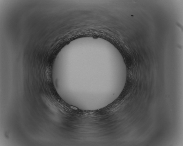 X0000091671490200709201209