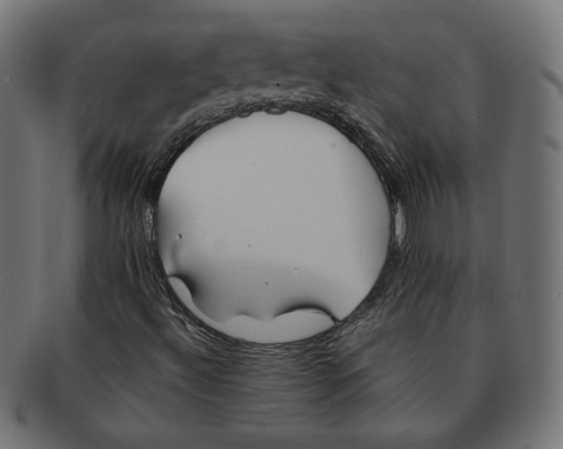 X0000091671492200709201209