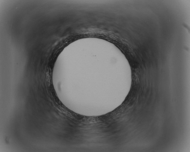 X0000091671493200709201209