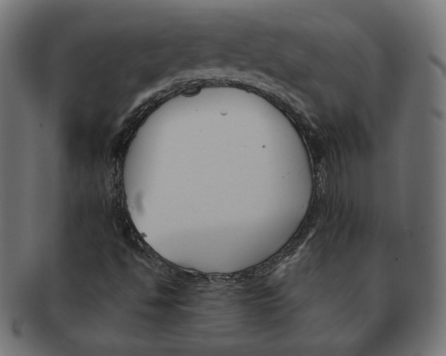 X0000091671494200709201209