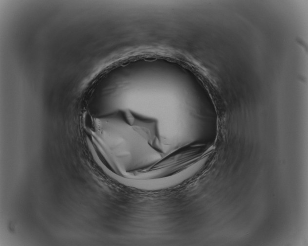 X0000091671496200709201209