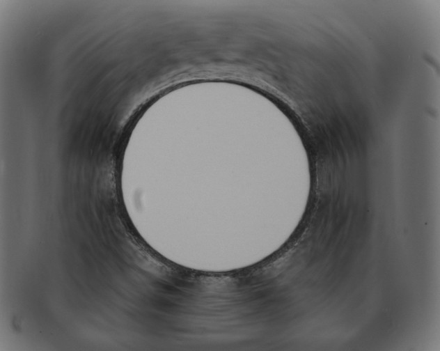 X0000091671498200709201209