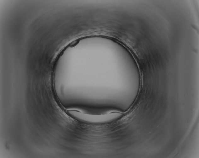 X0000091671500200709201209