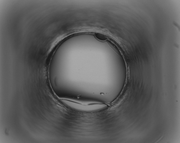 X0000091671501200709201209