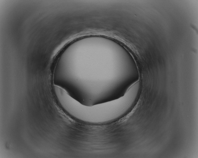 X0000091671502200709201209