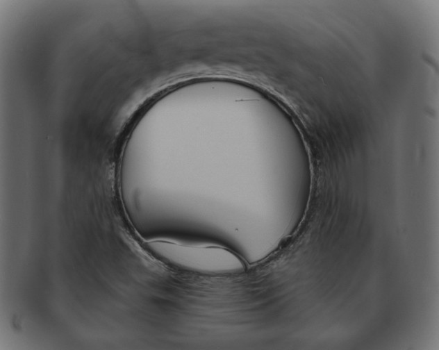 X0000091671503200709201209