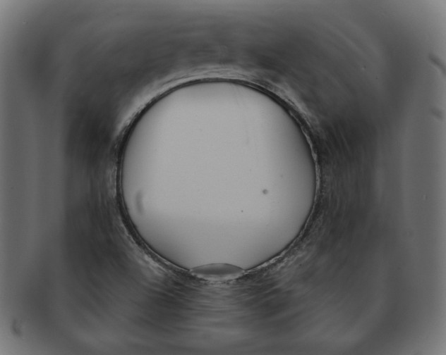 X0000091671504200709201209