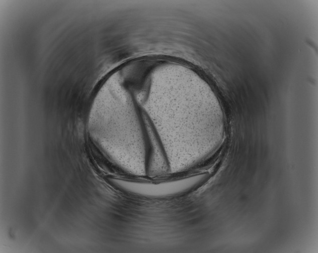 X0000091671505200709201209