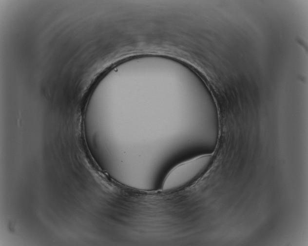 X0000091671507200709201209