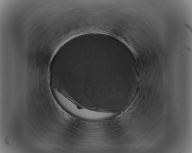 X0000091671508200709201209