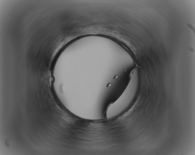 X0000091671509200709201209