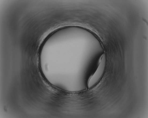 X0000091671511200709201209