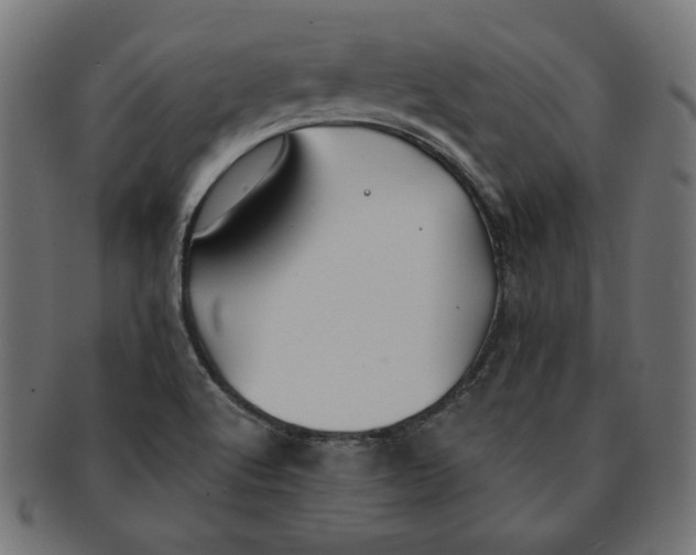 X0000091671512200709201209