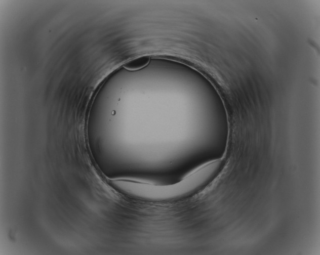 X0000091671513200709201209