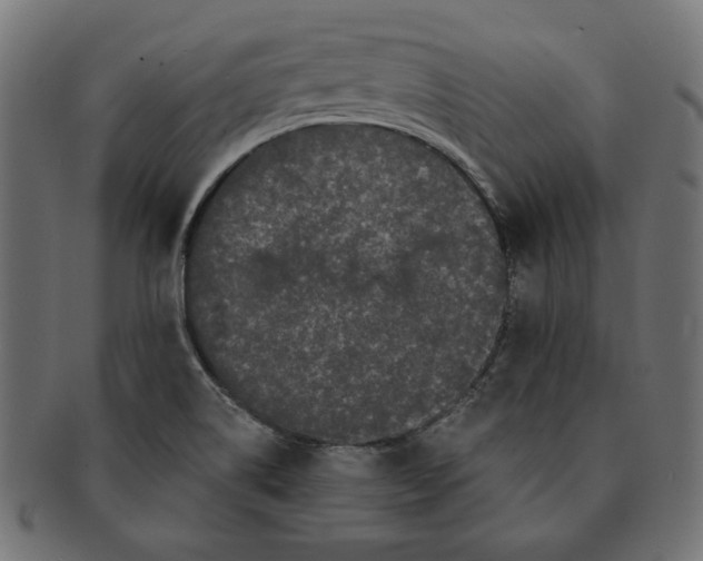 X0000091671514200709201209