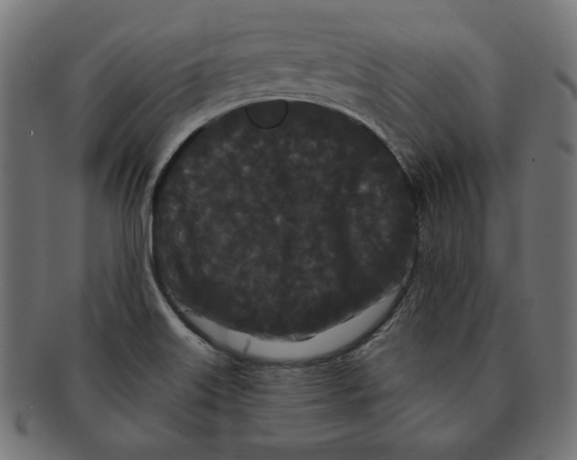 X0000091671515200709201209