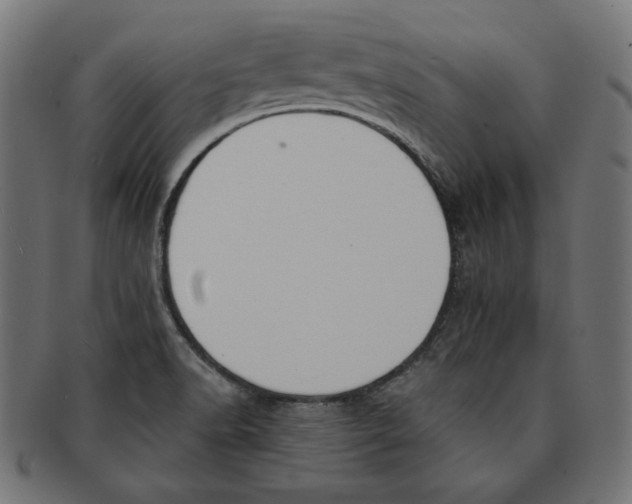 X0000091671518200709201209