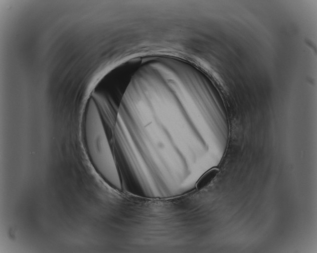 X0000091671520200709201209