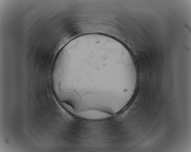 X0000091671521200709201209