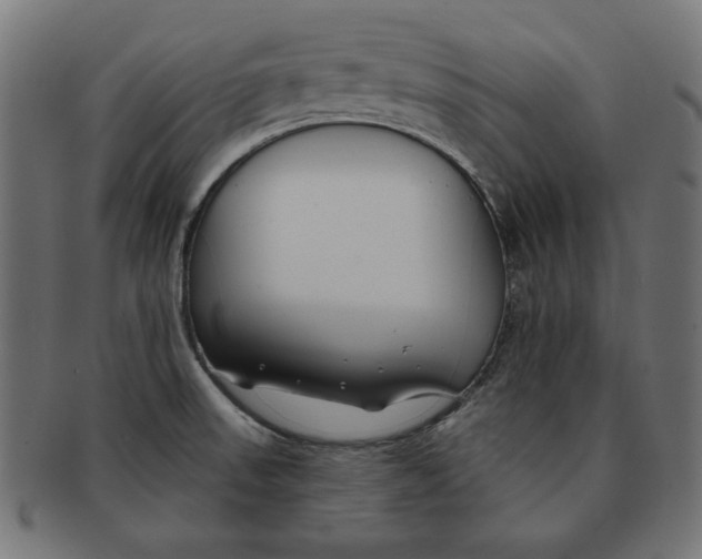 X0000091671523200709201209