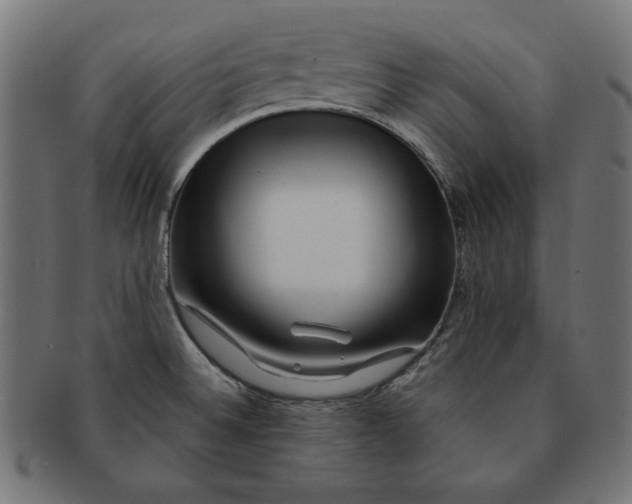 X0000091671524200709201209