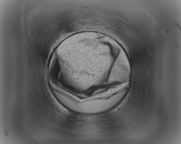 X0000091671525200709201209