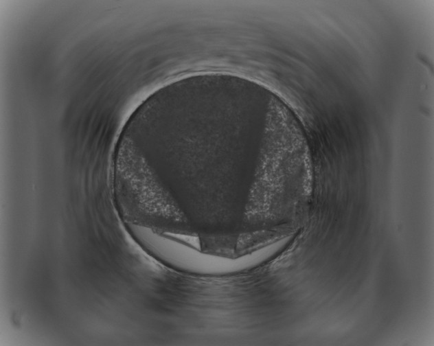 X0000091671527200709201209