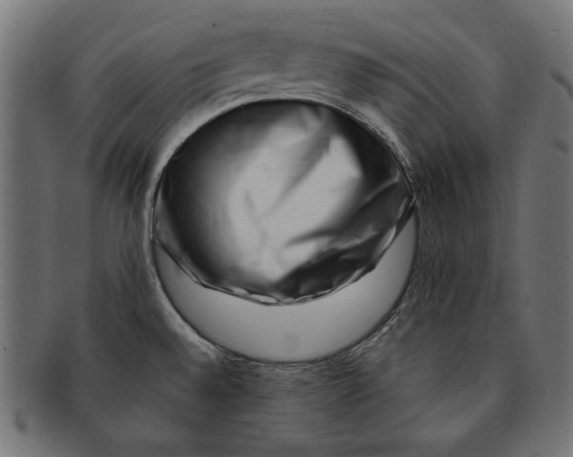 X0000091671528200709201209