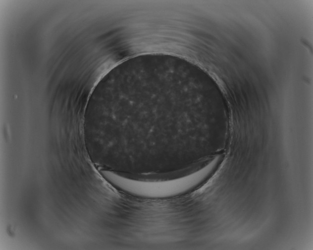 X0000091671529200709201209