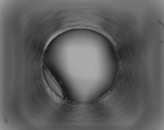 X0000091671530200709201209