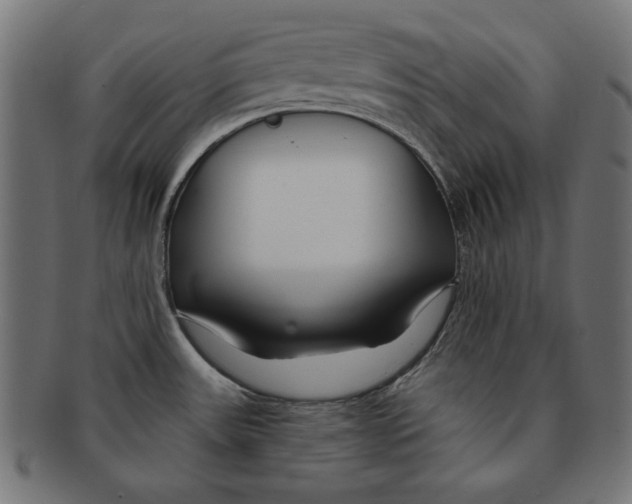 X0000091671531200709201209