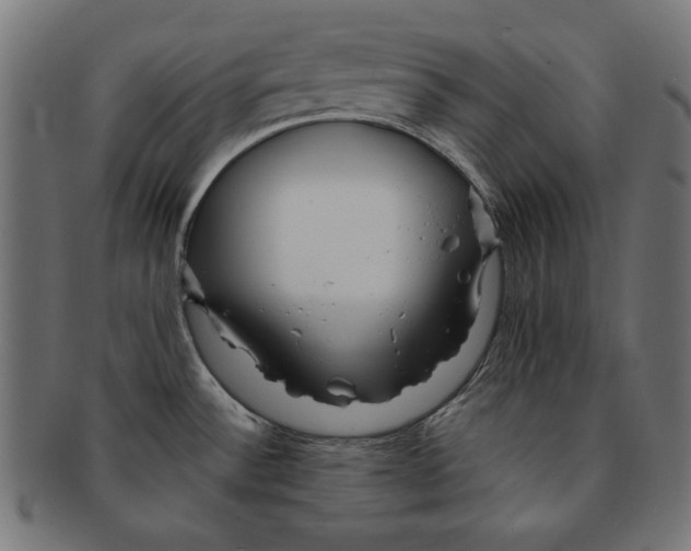 X0000091671532200709201209