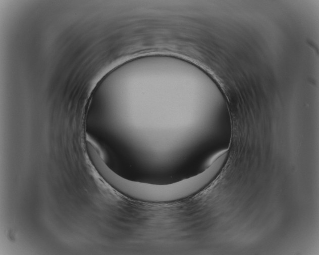 X0000091671534200709201209