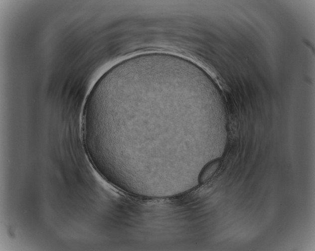 X0000091671535200709201210