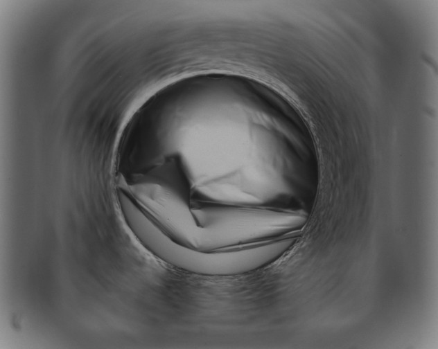 X0000091671536200709201210