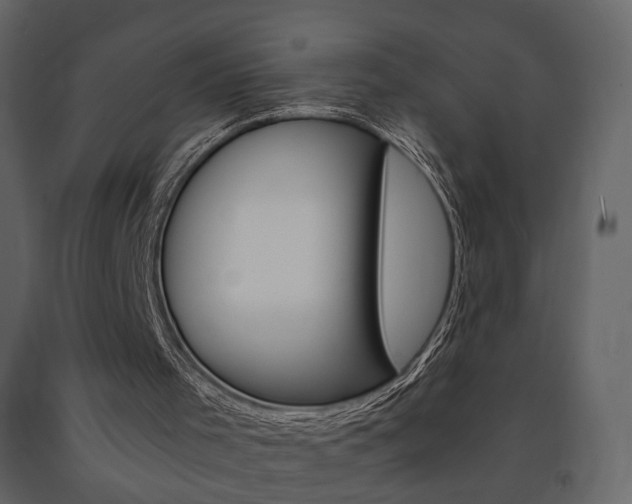 X0000091680001200708231118
