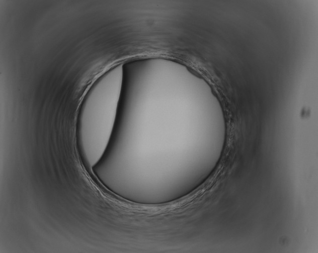 X0000091680002200708231118