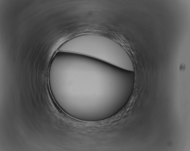 X0000091680003200708231118