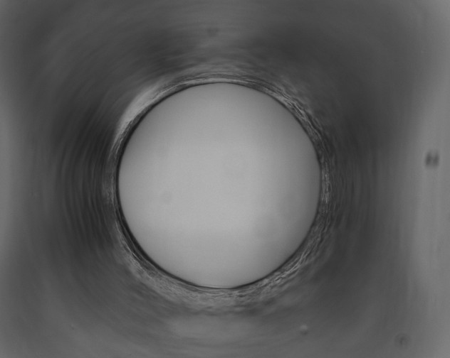 X0000091680004200708231118