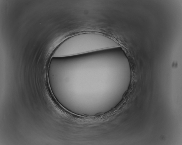 X0000091680005200708231118
