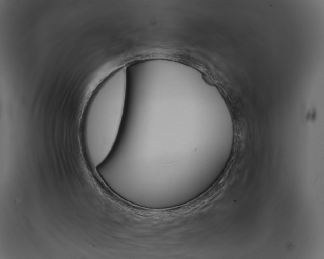 X0000091680006200708231118