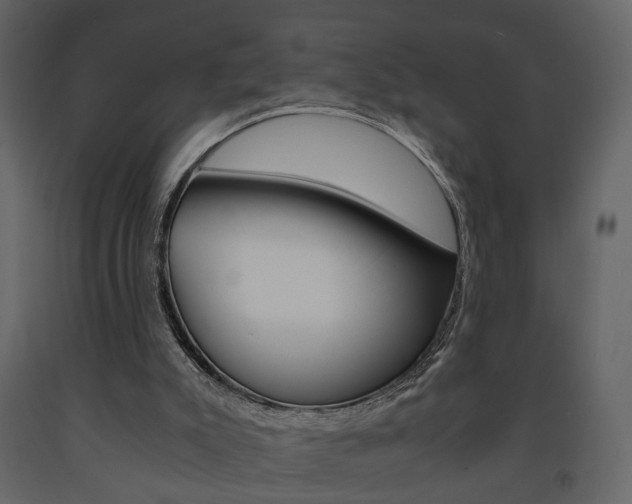 X0000091680007200708231118