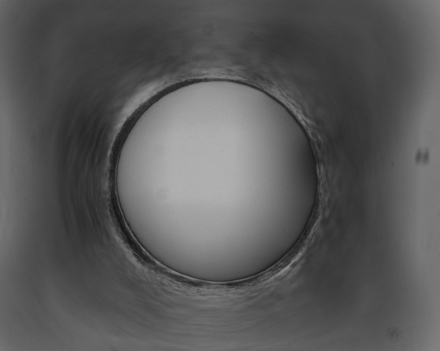 X0000091680008200708231118